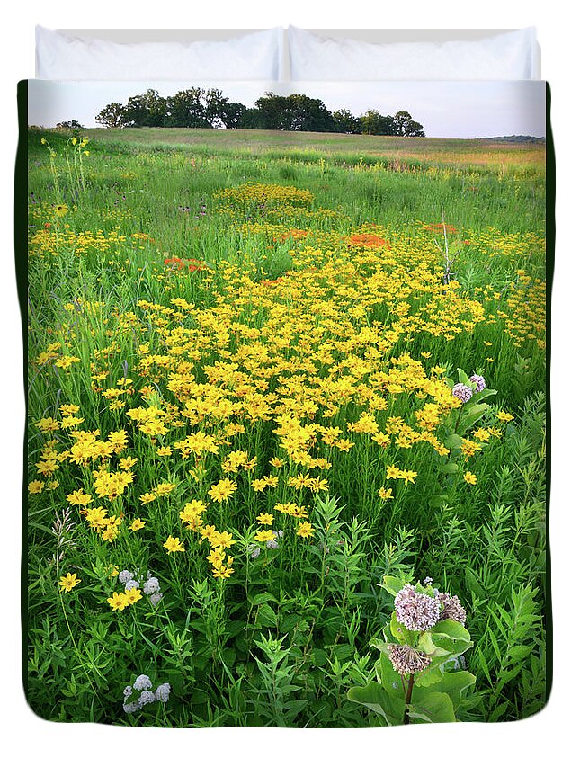 Illinois Duvet Cover featuring the photograph Illinois Prairie Wildflowers by Ray Mathis