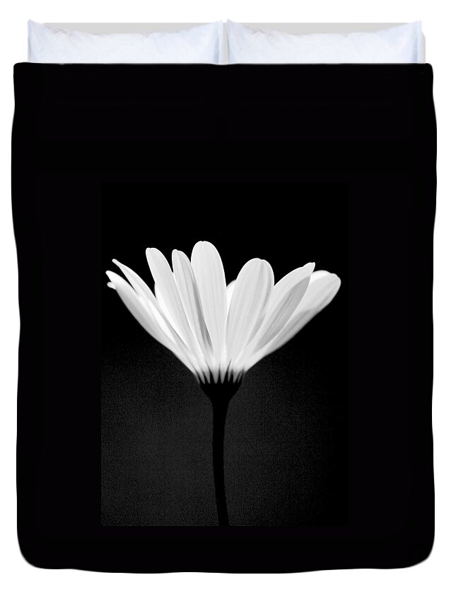 Flower Duvet Cover featuring the photograph Illuminated Lady by Julie Lueders 
