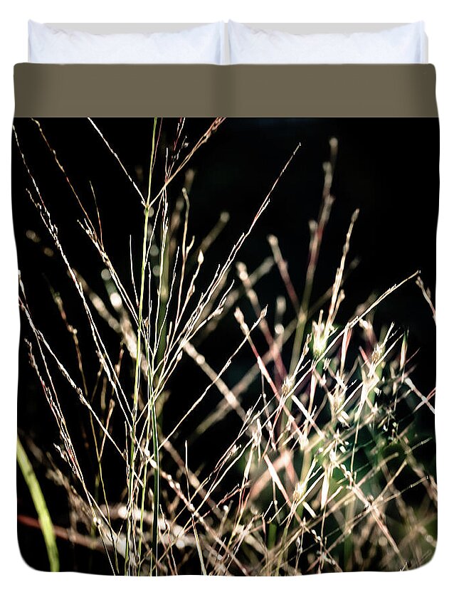 Abstract Grass Duvet Cover featuring the photograph Illumination - by Julie Weber