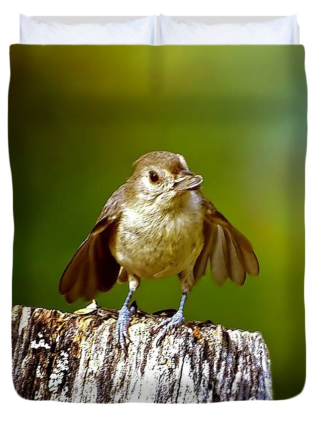 Bird With The Seed Duvet Cover featuring the photograph I'm still a baby by Lilia S