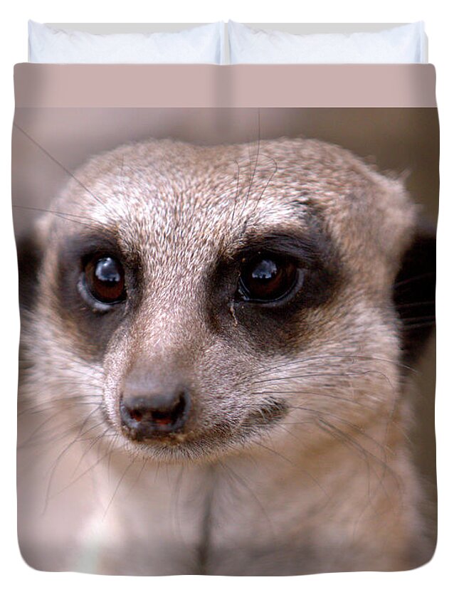 Animal. Meerkat Duvet Cover featuring the photograph Im Watching You by Baggieoldboy