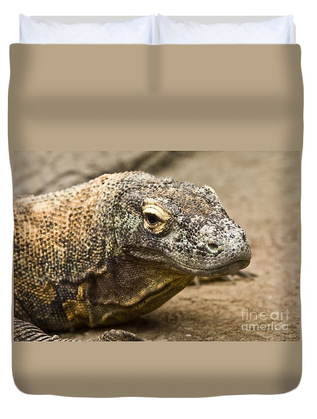  Animal Photographs Duvet Cover featuring the photograph Im watching you by Tim Hightower