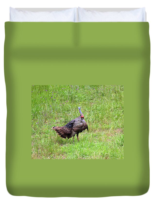 Wild Turkey Duvet Cover featuring the photograph IMG_0961 - Wild Turkey by Travis Truelove