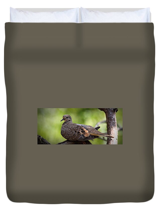 Mourning Dove Duvet Cover featuring the photograph IMG_3379-001 - Mourning Dove by Travis Truelove