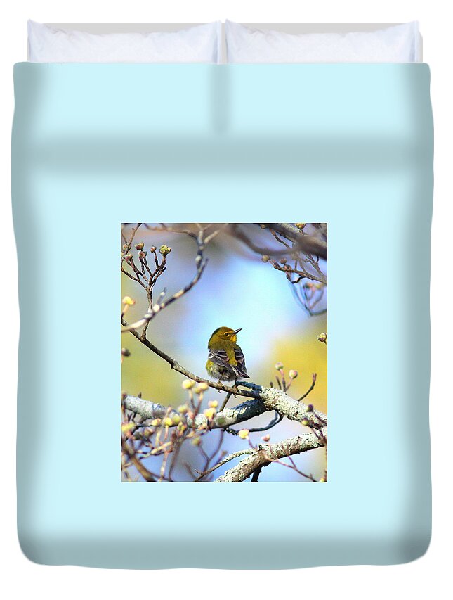 Pine Warbler Duvet Cover featuring the photograph IMG_3822-002 - Pine Warbler by Travis Truelove