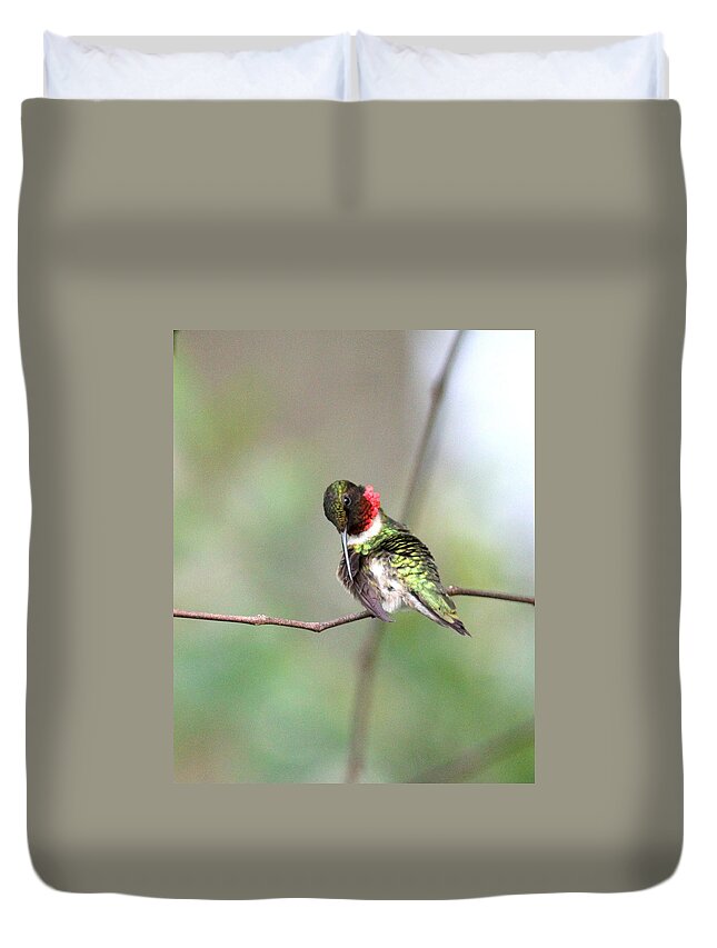 Ruby-throated Hummingbird Duvet Cover featuring the photograph IMG_4504-002 - Ruby-throated Hummingbird by Travis Truelove