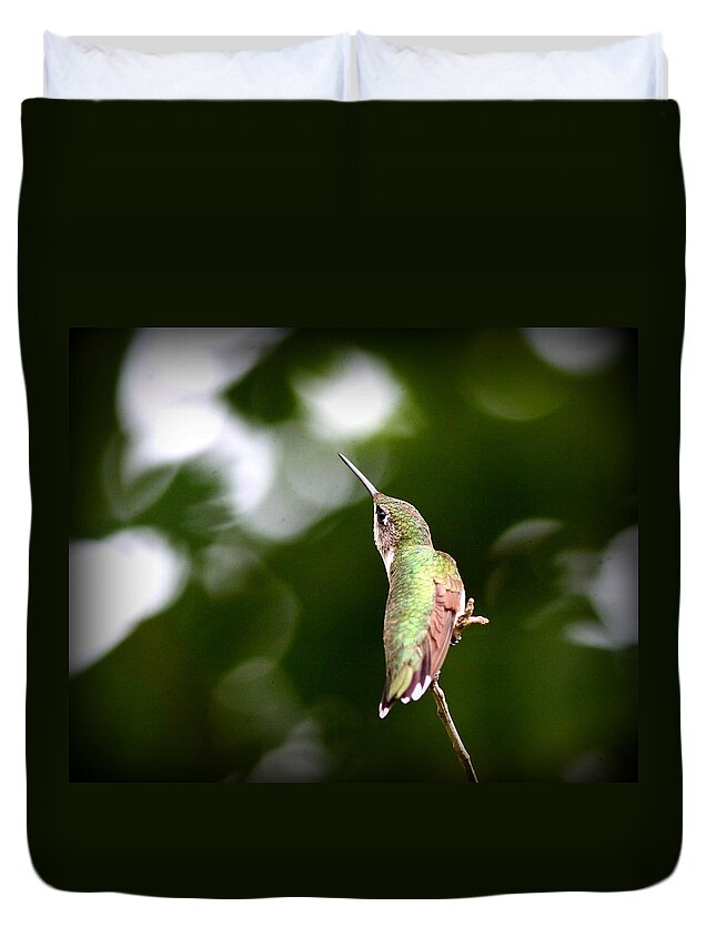 Ruby-throated Hummingbird Duvet Cover featuring the photograph IMG_4948 - Ruby-throated Hummingbird by Travis Truelove