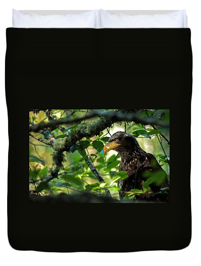 Eagle Duvet Cover featuring the photograph Juvenile Bald Eagle by Bob Cournoyer