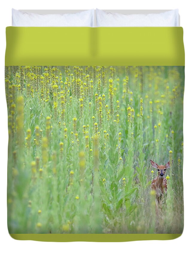 Fawn Duvet Cover featuring the photograph Immersed In Mullein by Brook Burling