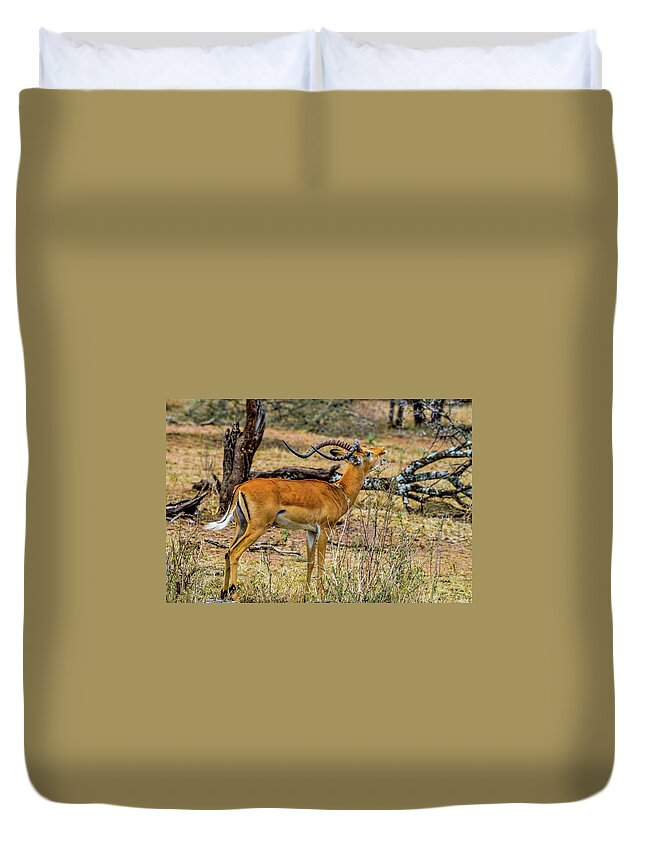 Africa Duvet Cover featuring the photograph Impala on the Serengeti by Marilyn Burton