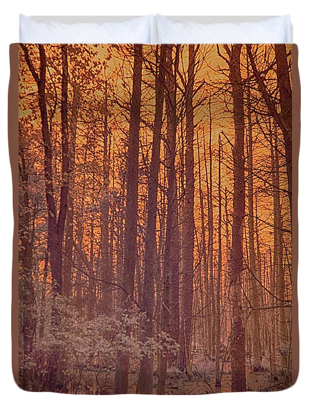 Light Duvet Cover featuring the photograph Home of the Jersey Devil by Jim Cook