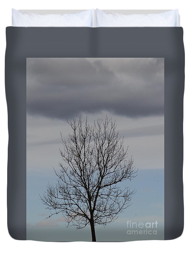 Tree Duvet Cover featuring the photograph In between by Karin Ravasio