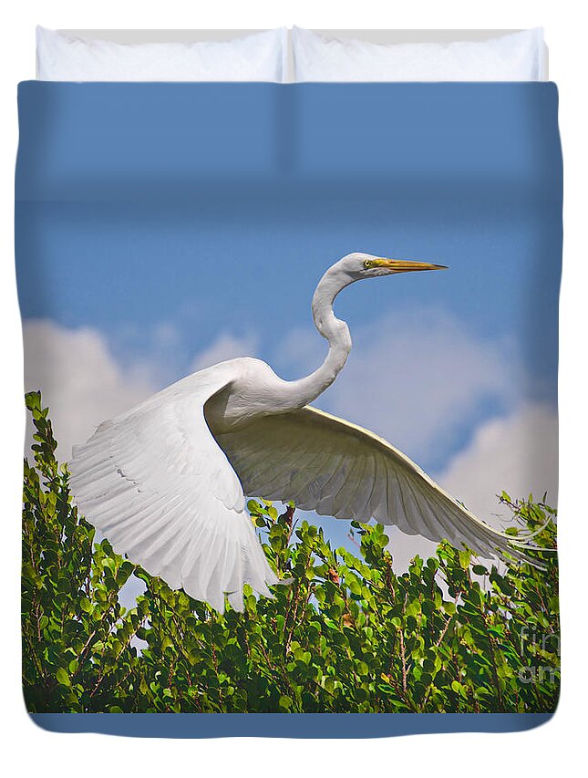 Birds Duvet Cover featuring the photograph In Flight by Judy Kay