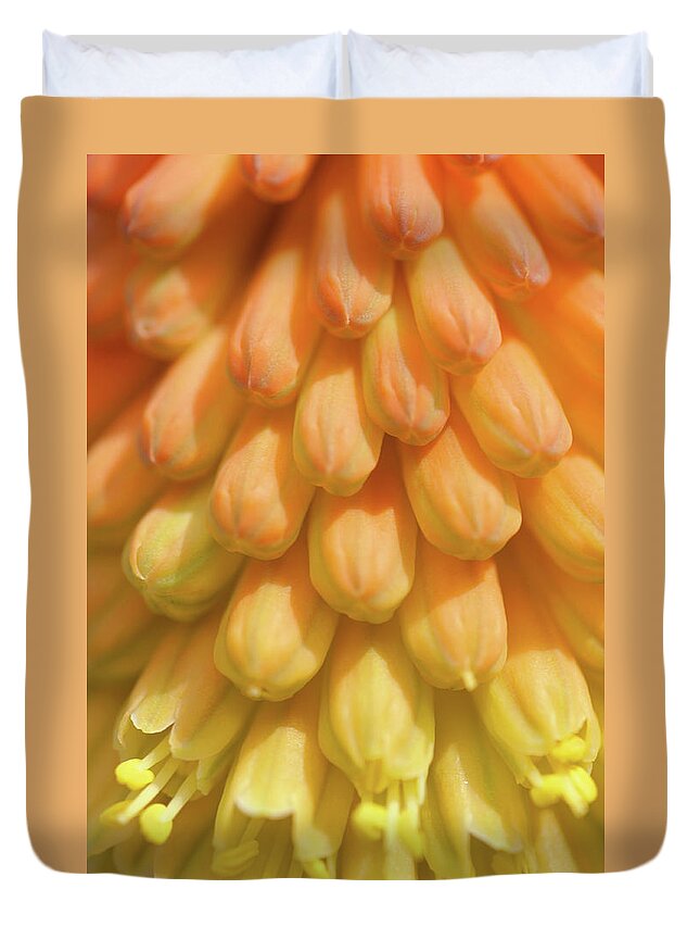 Jenny Rainbow Fine Art Photography Duvet Cover featuring the photograph In Full Bloom. Kniphofia Flower Abstract by Jenny Rainbow