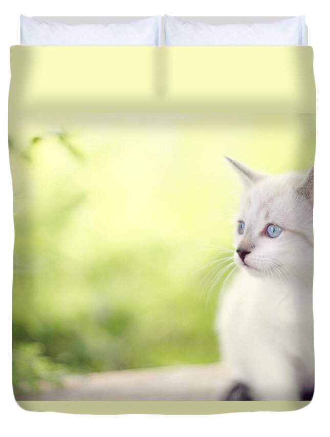 Kitten Duvet Cover featuring the photograph In Her Eyes by Amy Tyler