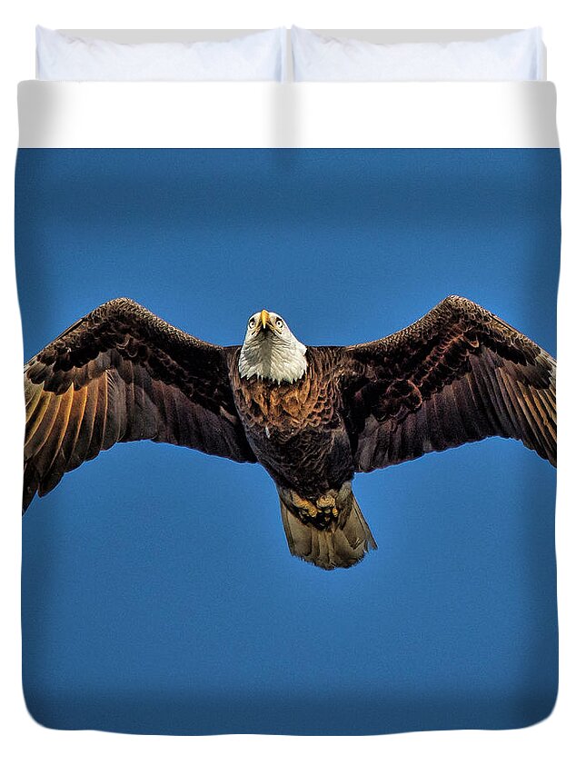 Bald Eagle Duvet Cover featuring the photograph In Search Of Food by Joe Granita