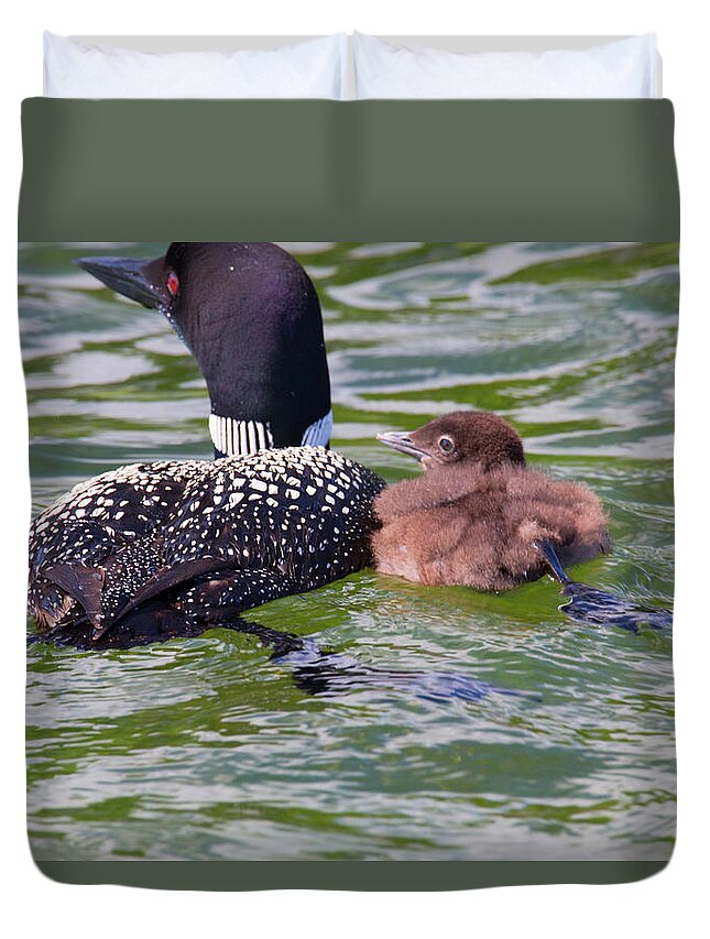 Loons Duvet Cover featuring the photograph In Sync by Nancy Dunivin