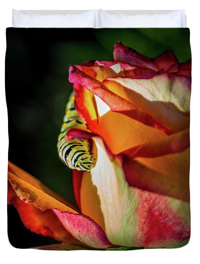 Caterpillars Duvet Cover featuring the photograph In The Beginning by Karen Wiles