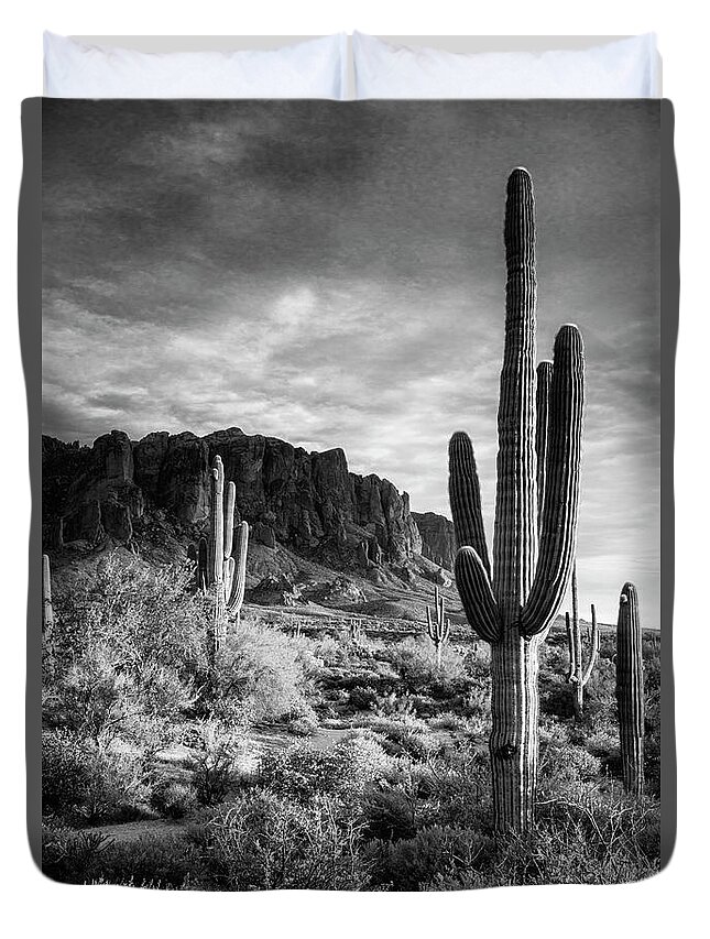 Sunset Duvet Cover featuring the photograph In The Desert Golden Hour in Black and White by Saija Lehtonen
