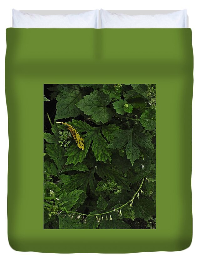 Nature Duvet Cover featuring the photograph In the Garden of Earthly Delights by Charles Lucas
