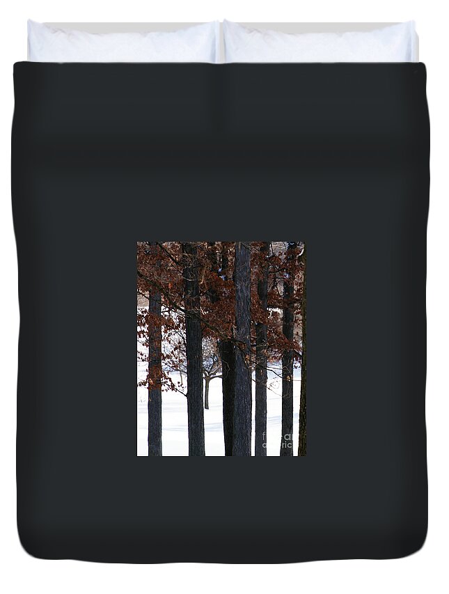 Woods Duvet Cover featuring the photograph In The Presence of Elders by Linda Shafer