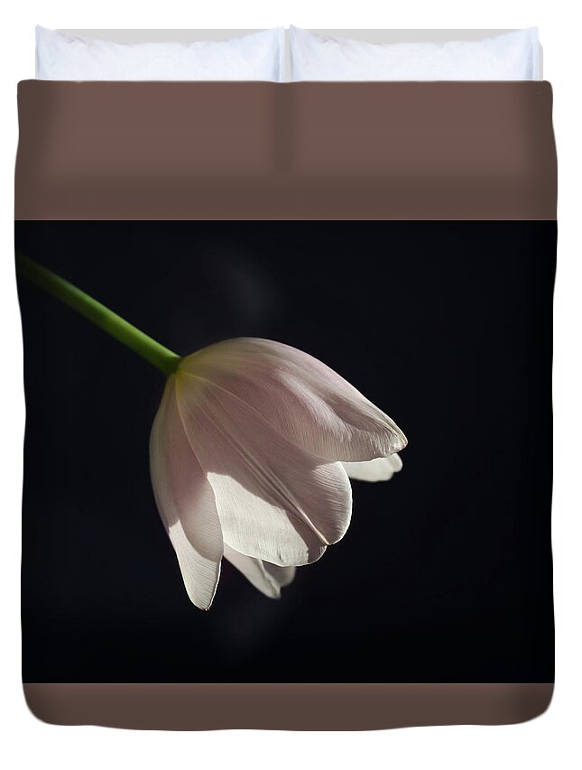 Tulip Duvet Cover featuring the photograph In the Spotlight by Kim Hojnacki