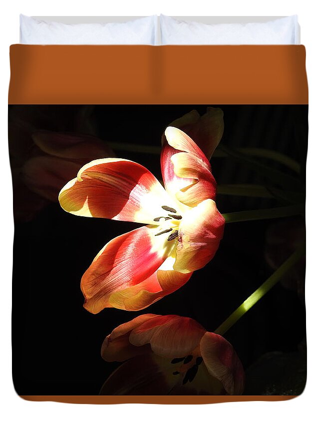 Tulips Duvet Cover featuring the photograph In the Sunlight by Betty-Anne McDonald