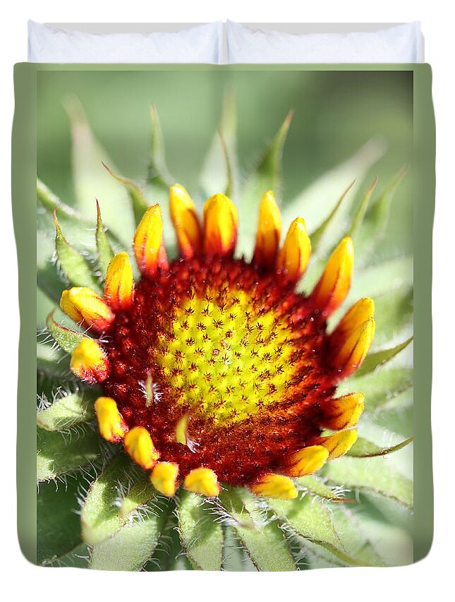 Indian Blanket Duvet Cover featuring the photograph Inception by Christiane Schulze Art And Photography