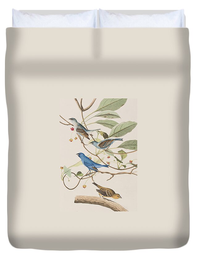 Indigo Bird Duvet Cover featuring the painting Indigo Bird by John James Audubon