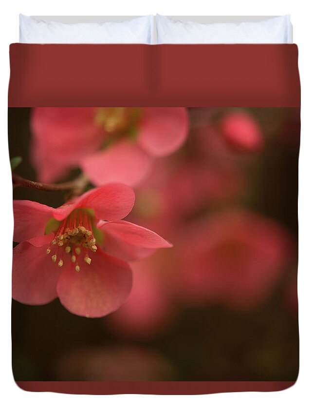 Infinite Pink Prints Duvet Cover featuring the photograph Infinite Pink by John Harding