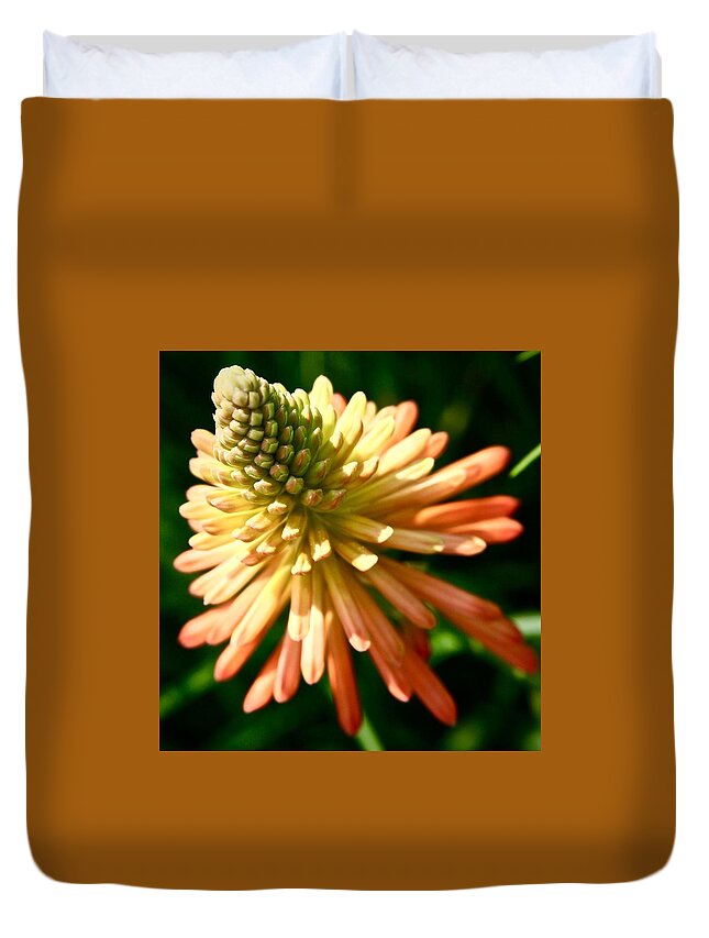 Flora Duvet Cover featuring the photograph Inn Bloom by Phil Cappiali Jr
