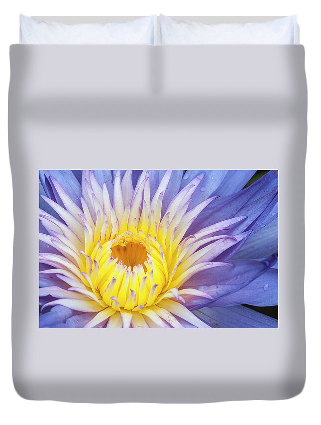 Waterlily Duvet Cover featuring the photograph Perfect symmetry of a blossom by Usha Peddamatham