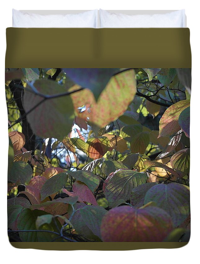 Bille Park Duvet Cover featuring the photograph Inner Dogwood Fall by Michele Myers