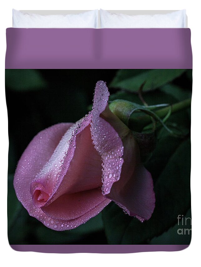 Pink Duvet Cover featuring the photograph Inspiration by Doug Norkum