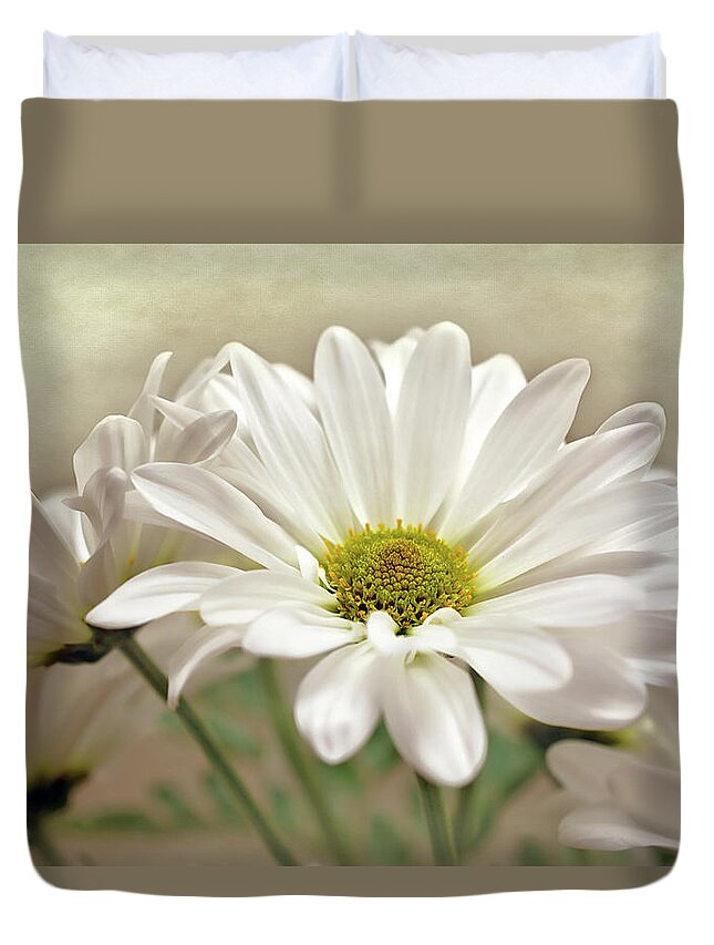Daisies In Light Photo Duvet Cover featuring the photograph Inspired Daisies Print by Gwen Gibson