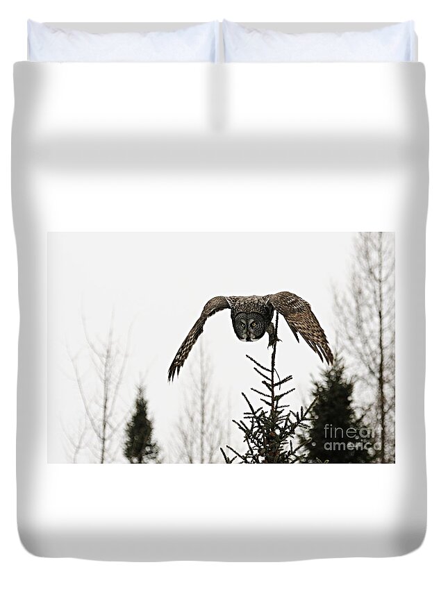 Photography Duvet Cover featuring the photograph Intent on His Prey by Larry Ricker