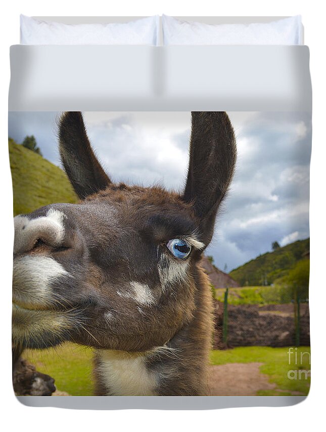 Llama Duvet Cover featuring the photograph Into the Blue. Peru by Ksenia VanderHoff
