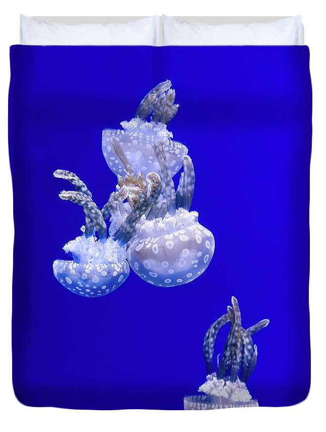 Jellyfish Duvet Cover featuring the photograph Into The Blue by Wim Lanclus