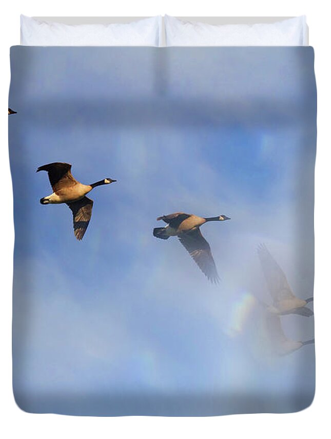Canadian Geese Duvet Cover featuring the photograph Into the Clouds by Jackson Pearson