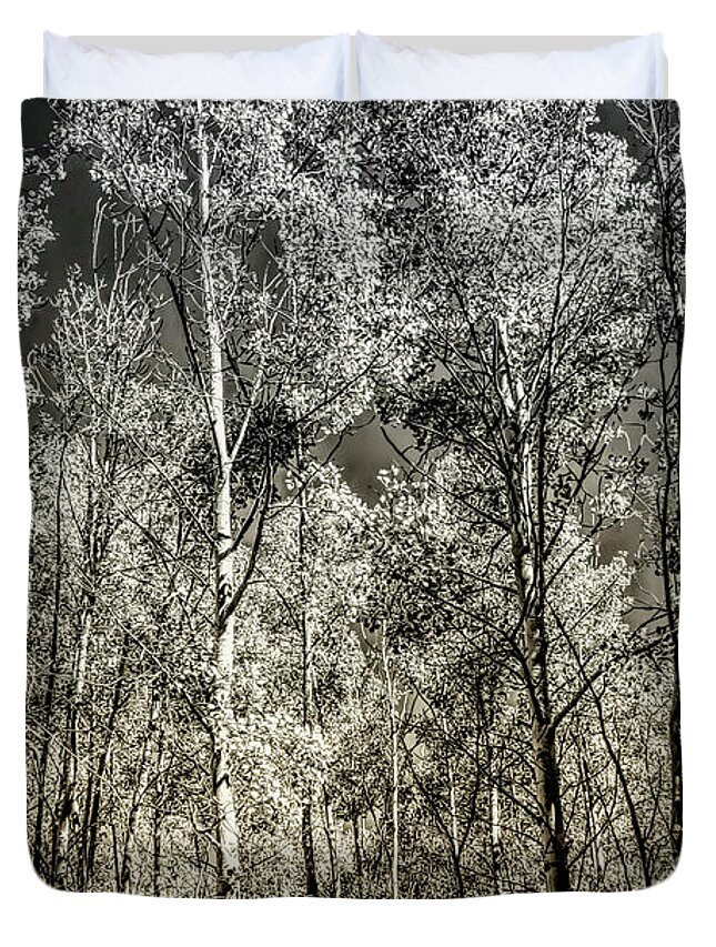Desert Forest Garden Duvet Cover featuring the digital art Into The Woods by Becky Titus