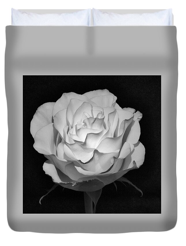 Infrared Duvet Cover featuring the photograph IR Rose by John Roach