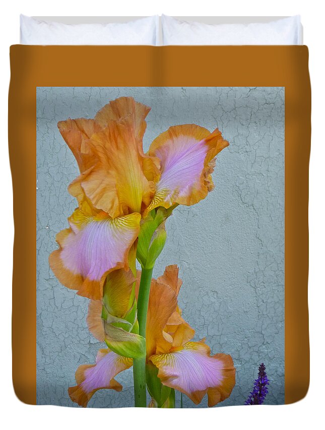 Iris Duvet Cover featuring the photograph Iris and Salvia by Ellen Paull