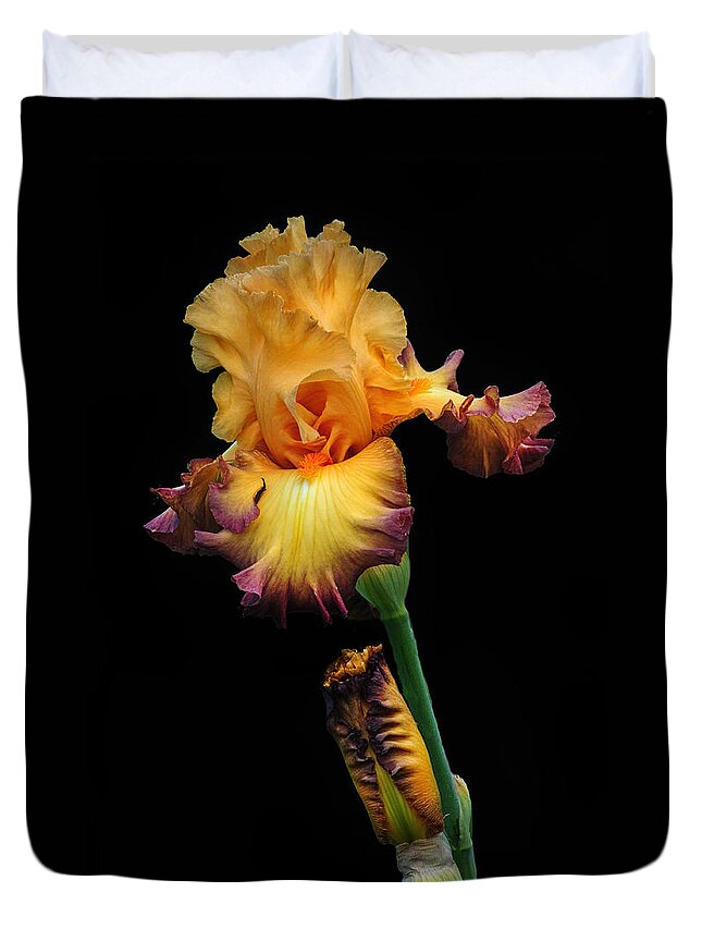Iris Duvet Cover featuring the photograph Iris Beauty by Dave Mills