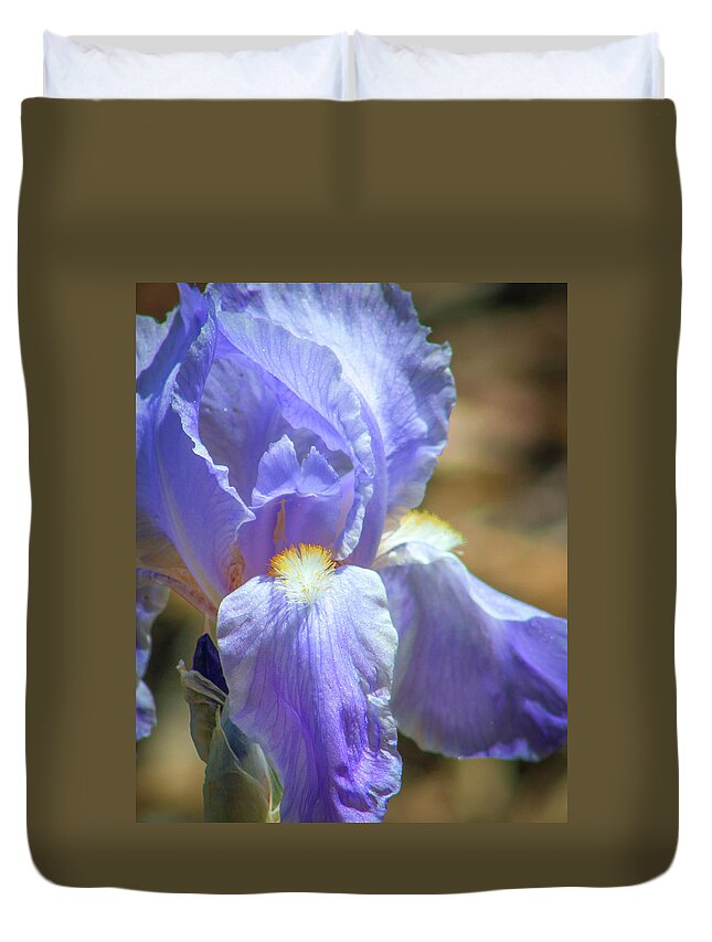 Flora Duvet Cover featuring the photograph Iris in Blue and Purple by Lynne Jenkins