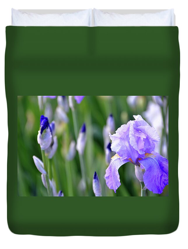 Iris Duvet Cover featuring the photograph Iris Infinite by Angelina Tamez