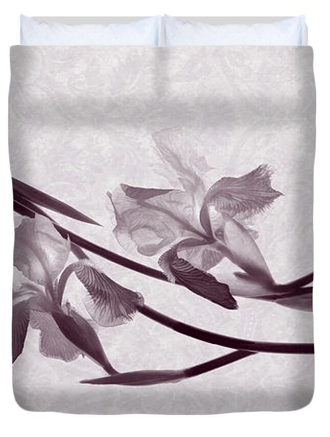 Irises Duvet Cover featuring the photograph Iris Rhapsody toned by Leda Robertson