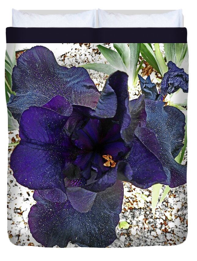 Iris Duvet Cover featuring the photograph Irises 1 by Ron Kandt