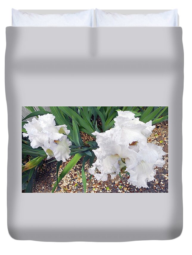 Iris Duvet Cover featuring the photograph Irises 2 by Ron Kandt
