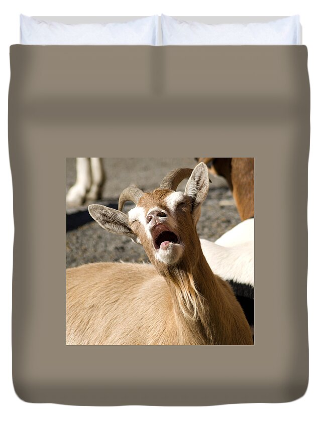 Goat Duvet Cover featuring the photograph Is It MONDAY Already by Trish Tritz