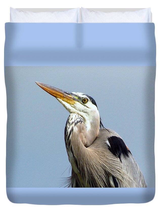 Gbh Duvet Cover featuring the photograph Grinning Great Blue Heron by Lori Lafargue